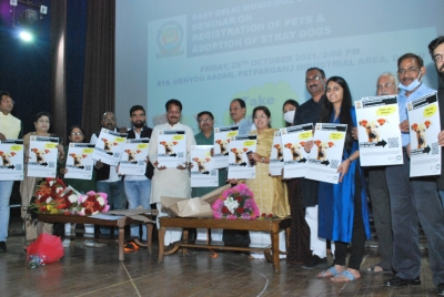 दिल्ली: पूर्वी निगम क्षेत्र में आवारा कुत्तों को गोद लेकर करें देखभाल, निगम करेगा आपकी मदद