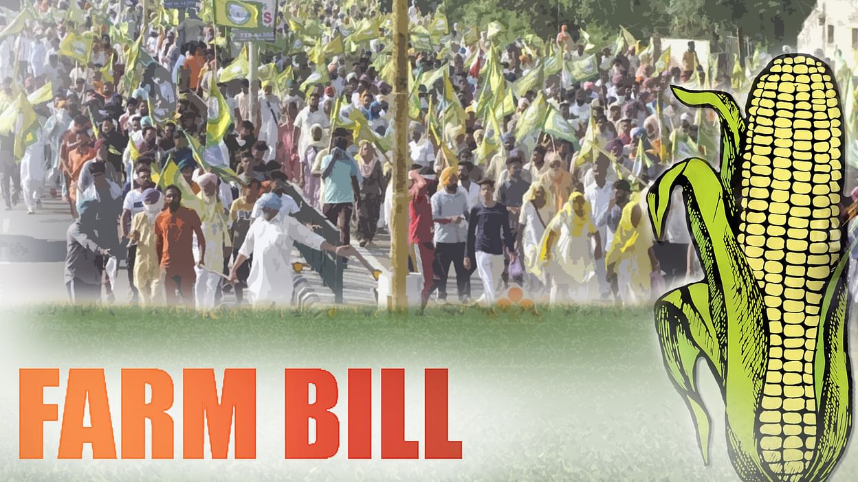 प्रधानमंत्री का तीनों कृषि कानून की वापसी का निर्णय किसानों और लोकतंत्र की जीत है : रामस्वरूप