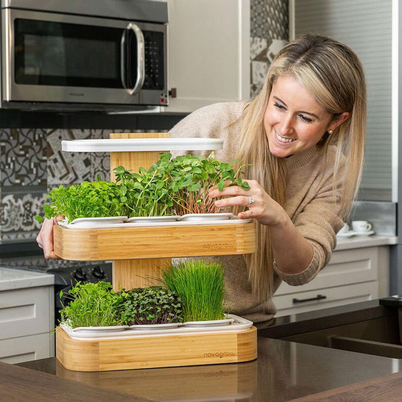 महामारी के तनाव के बीच एलजी ने इनडोर गार्डनिंग एप्लायंस किया पेश