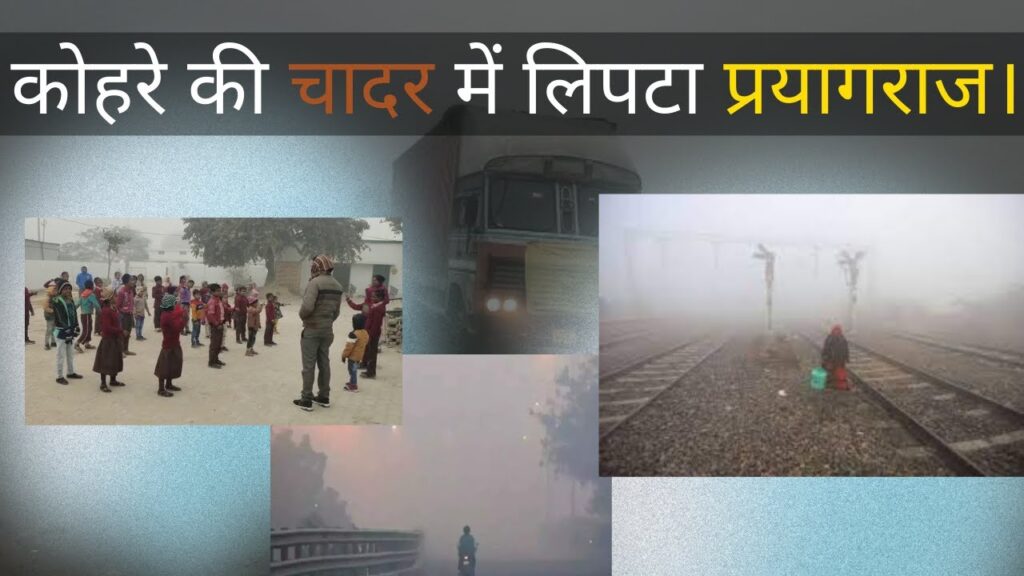 कोहरे की घनी चादर