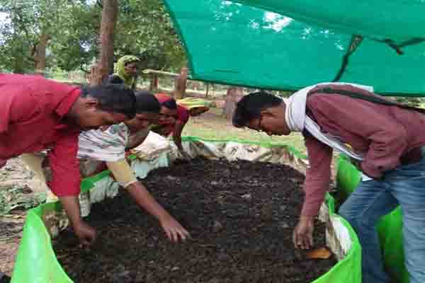 गोबर के जरिए आर्थिक समृद्धि की इबारत