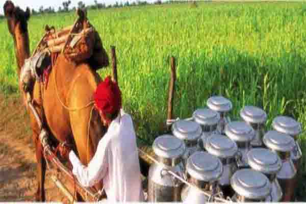 डेयरी विकास और पशुधन