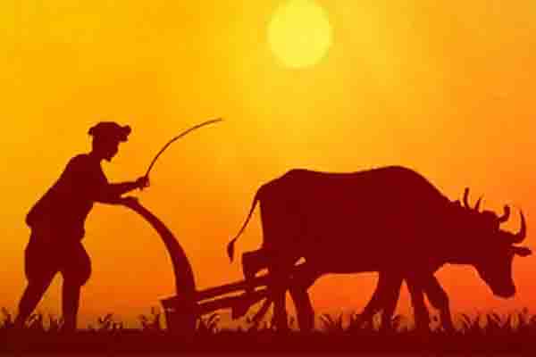 पीएम किसान मानधन योजना