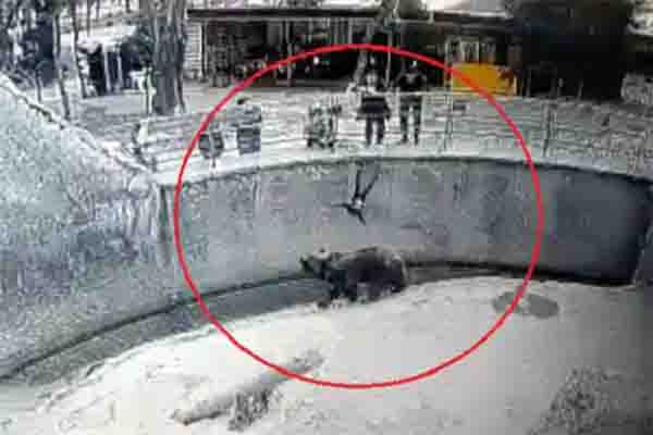 निर्दयी मां ने अपनी मासूम बच्ची को भालू के सामने फेंक दिया!