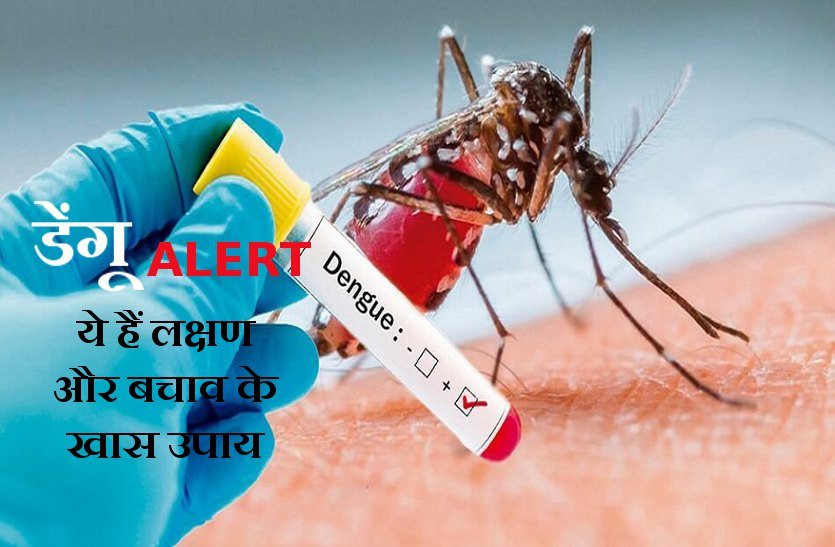 अभी से रखें ध्यान, डेंगू नहीं करेगा परेशान