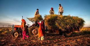 सार्वजनिक धन के कुशल उपयोग के लिए कई सुधारों की आवश्यकता