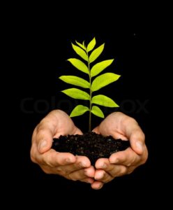 Nature Protection, world nature conservation day, Air Resources, Biodiversity