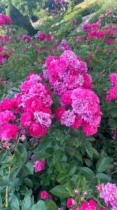 Foreign travel, Horoscope Analysis, Trip to Luxembourg, United Nations Organisation, Oneness With Nature