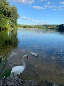 Foreign travel, Horoscope Analysis, Trip to Luxembourg, United Nations Organisation, Oneness With Nature