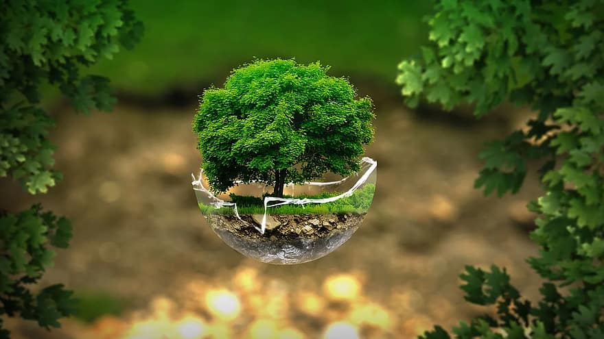 Nature Protection : हमारे समाधान प्रकृति में हैं