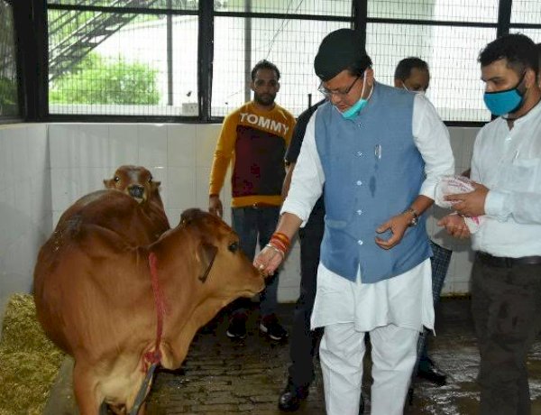 Employment in Uttarakhand, Stray Cattle Problem, Uttarakhand Government Scheme, 