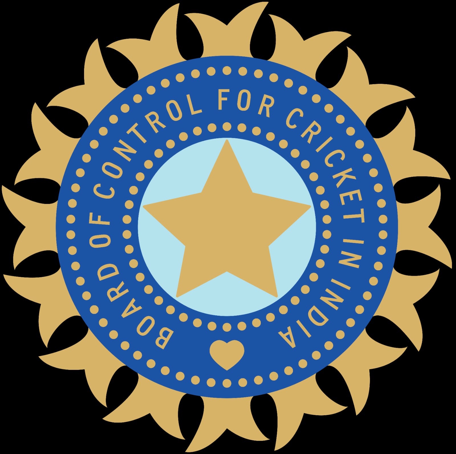 Mohammed Shami  स्टैंडबाई खिलाड़ी से रिजर्व खिलाड़ी के तौर पर वर्ल्ड कप टीम में कर सकते हैं वापसी