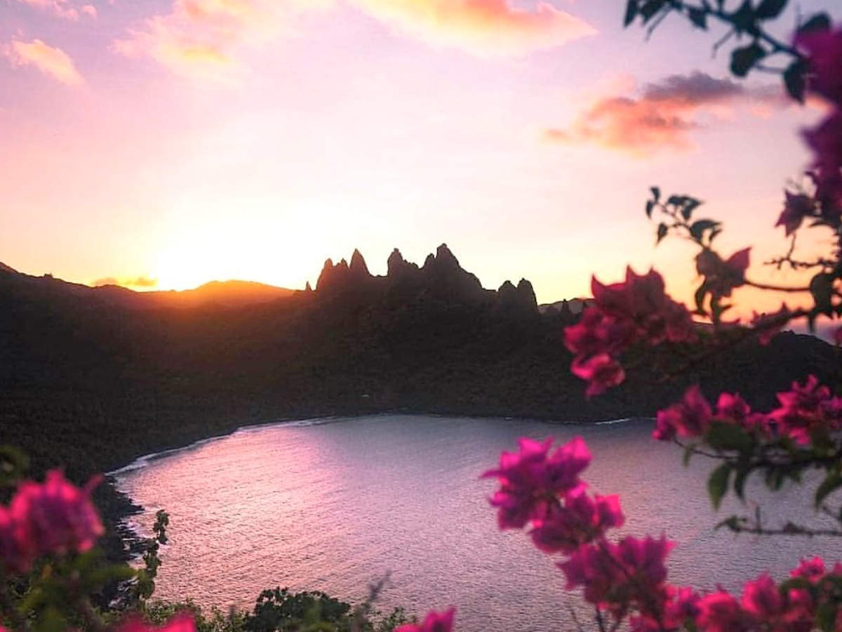 World of Poets : वास्तविक दुनिया का आईना रखते हैं कवि