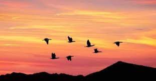 कैसे लग जाते हैं विचारों को पंख?