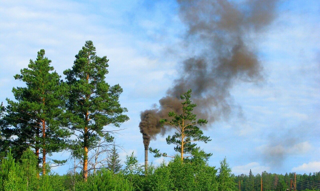 Air Quality : प्रकृति और वायु प्रदूषण