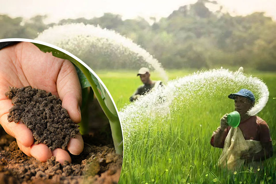 Indian Farming : रासायनिक उर्वरकों को कम करें, धरती के घाव भरें
