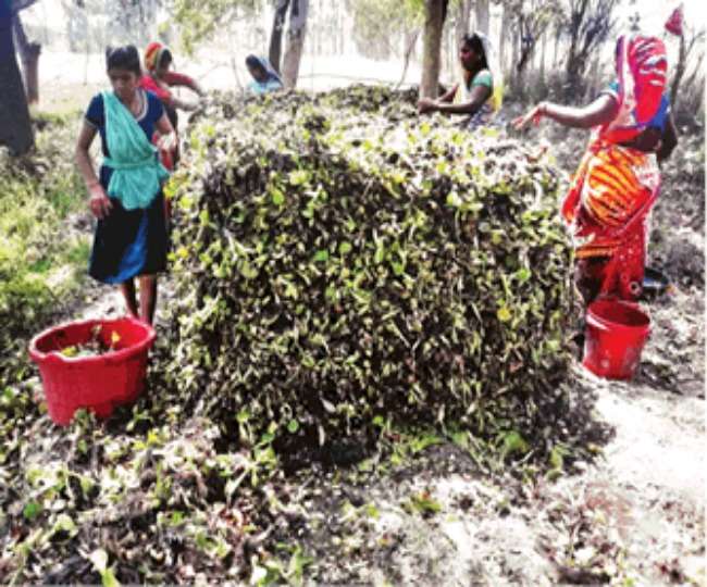 Garbage Problem : आइये हम सभी अपने कचरे को सोने में बदले