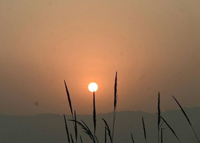 नए साल के पँख पर