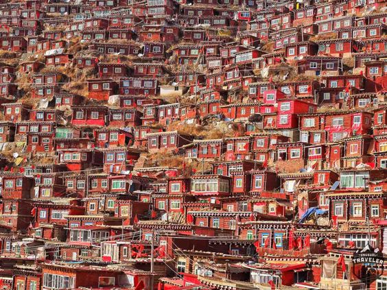 Indian Society : समाज के उत्थान और सुधार में स्कूल और धार्मिक संस्थान