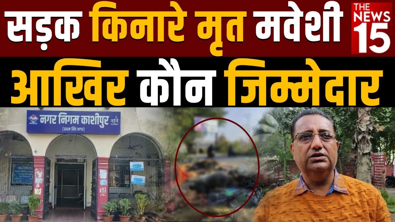 सड़क किनारे मृत मवेशी आखिर कौन जिम्मेदार