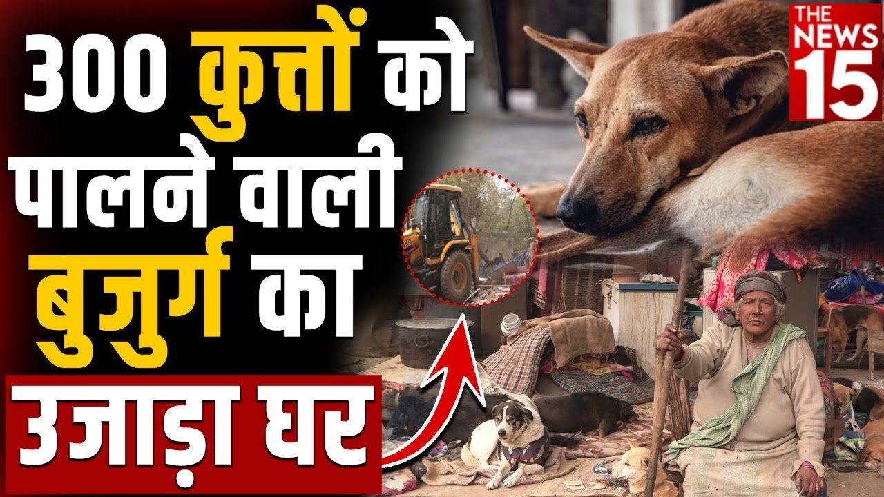 MCD ने ठंड में तोड़ा 80 साल की बुजुर्ग का आशियाना, महिला समेत बेघर हुए 300 कुत्ते..