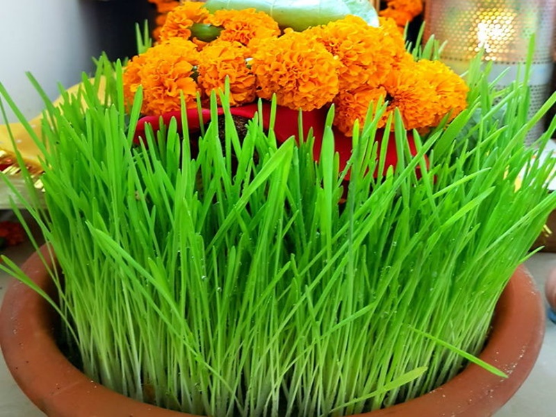 नवरात्र में खेत्री का महत्व