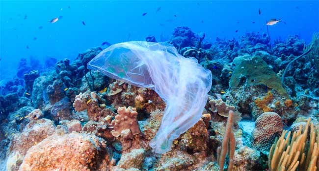 प्लास्टिक प्रदूषण के खिलाफ भारत की लड़ाई