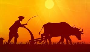 Chaudhary Charan Singh Jayanti : गांवों की सुध लेनी चाहिए शहर में बसे किसानों के बेटों और बेटियों को 