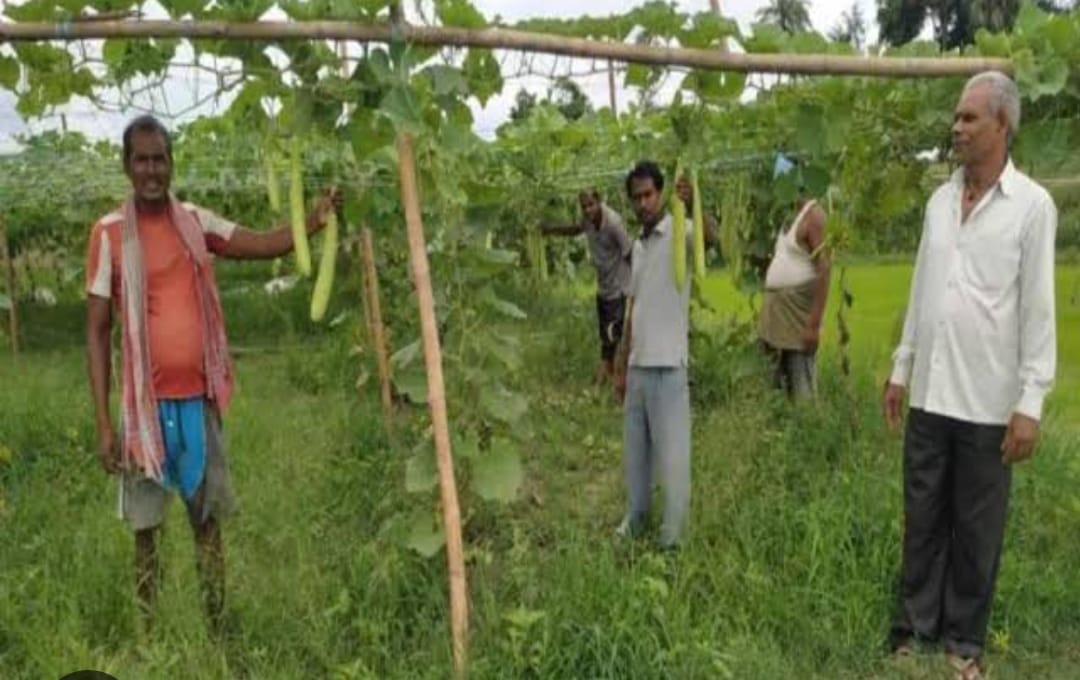 जलवायु परिवर्तन की दौर में इस बार भीषण गर्मी परने की संभावना