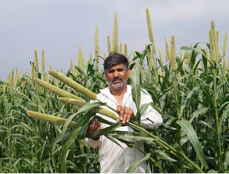 मिलेट्स की खेती स्वास्थवर्धक एवं बेहतर आमदनी का विकल्प