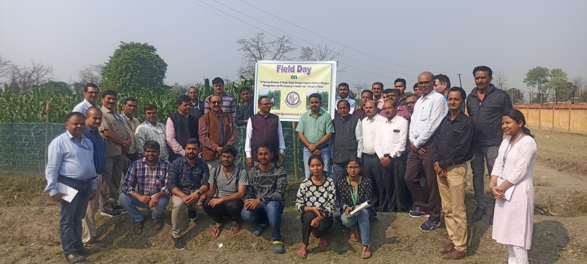 मक्का अनुसंधान प्रक्षेत्र का निरीक्षण कर कुलपति ने दिया कई आवश्यक दिशा निर्देश 