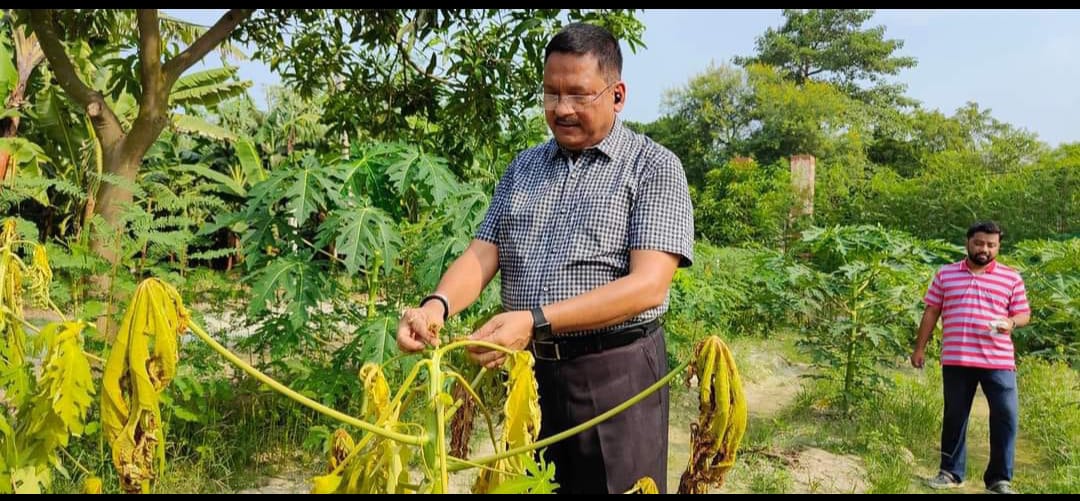 सोलर सिस्टम से सिंचाई करने पर लागत लगभग शून्य : डा अंबरीश कुमार।