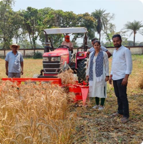 गेहूं की हार्वेस्टिंग के लिए रीपर कम बाइंडर का उपयोग करने की जरूरत : डा. आरके तिवारी