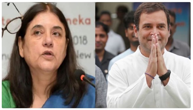 मुझे नहीं लगता कोई विकास हुआ है… कांग्रेस पर मेनका गांधी ने साधा निशाना