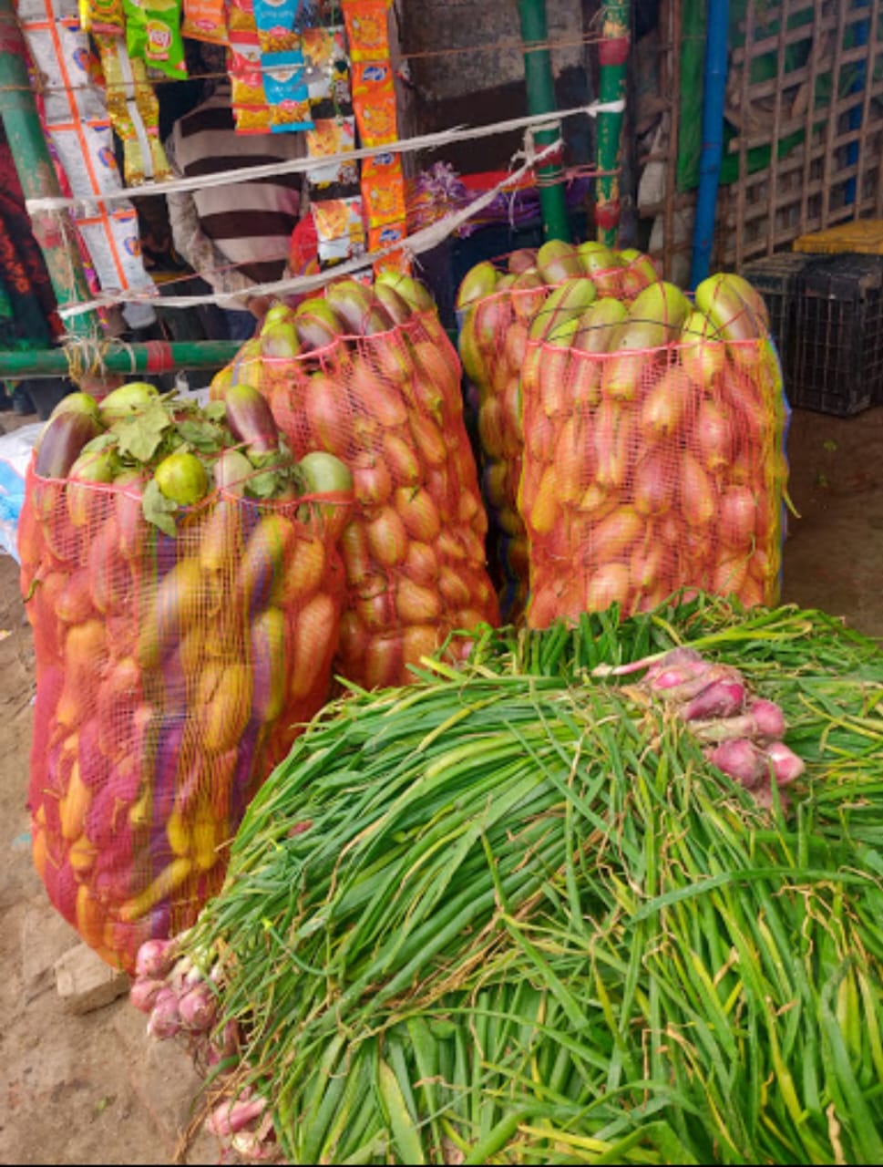 सब्जियों का भंडारण व प्रसंस्करण के अभाव में किसानों को नहीं मिल रहा समुचित लाभ