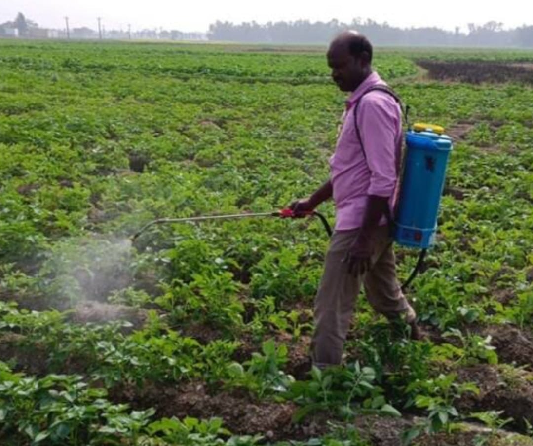 शुष्क हवा तथा प्रचंड लू (हीट वेव) की स्थिति बने रहने की सम्भावना