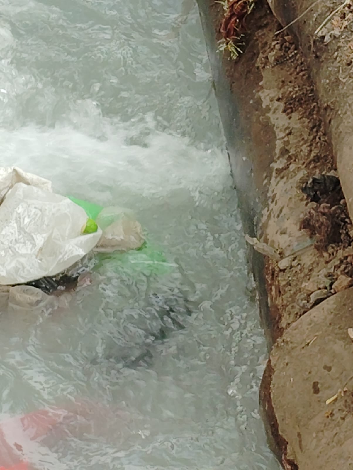 गंगाजल और नलजल की बर्बादी पर रोक हेतु एनजीटी कानून का इस्तेमाल जरुरी