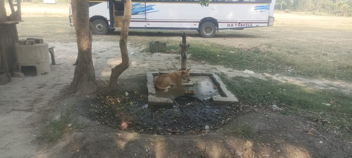 उत्तर बिहार के जिलों में अगले 48 घंटे में वारिस का अनुमान