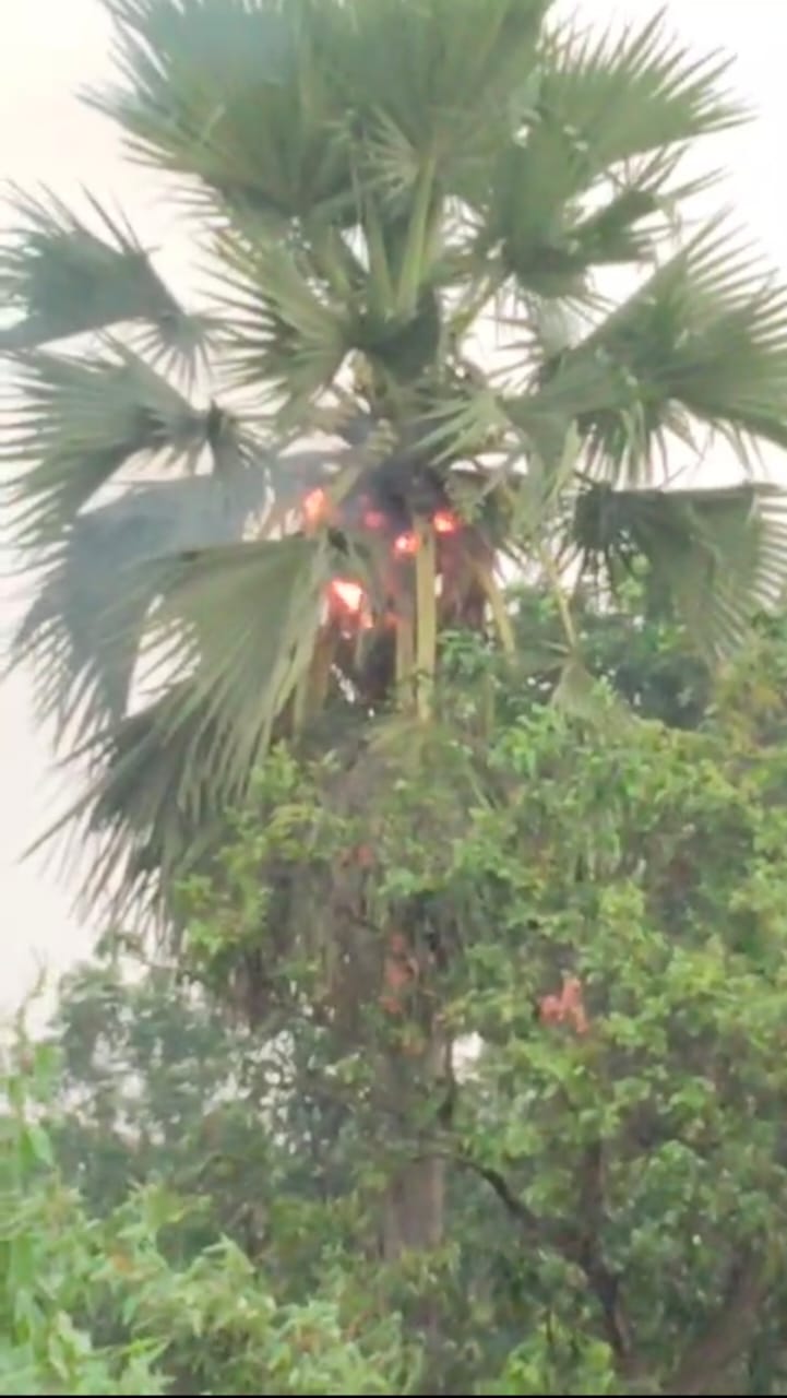 बिहार : पटना से पूर्णिया तक भीषण गर्मी में बारिश से मिली राहत