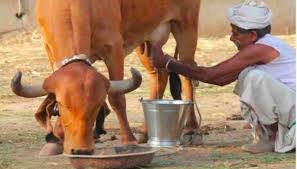 खतरे में है भारत की पशुधन अर्थव्यवस्था