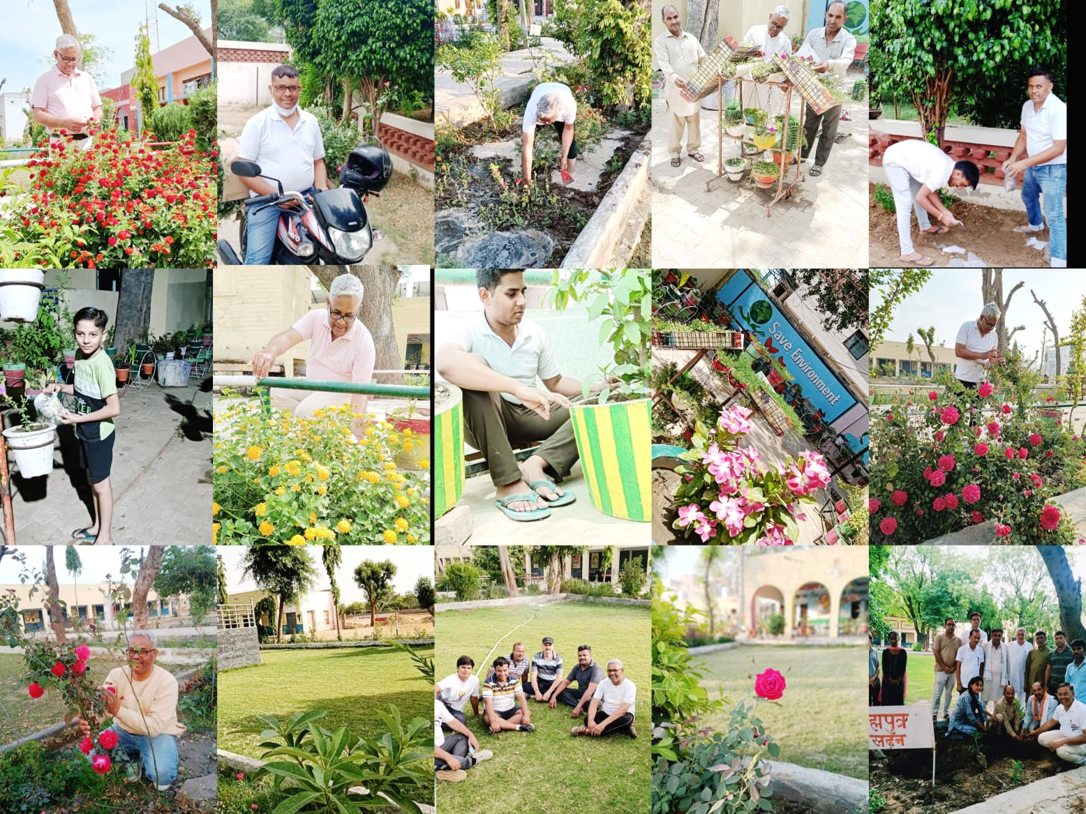 Environment Day Special : प्रकृति को ओढ़ाते हरियाली की शाल, पर्यावरण प्रेमी शिक्षक राजबीर बेनीवाल