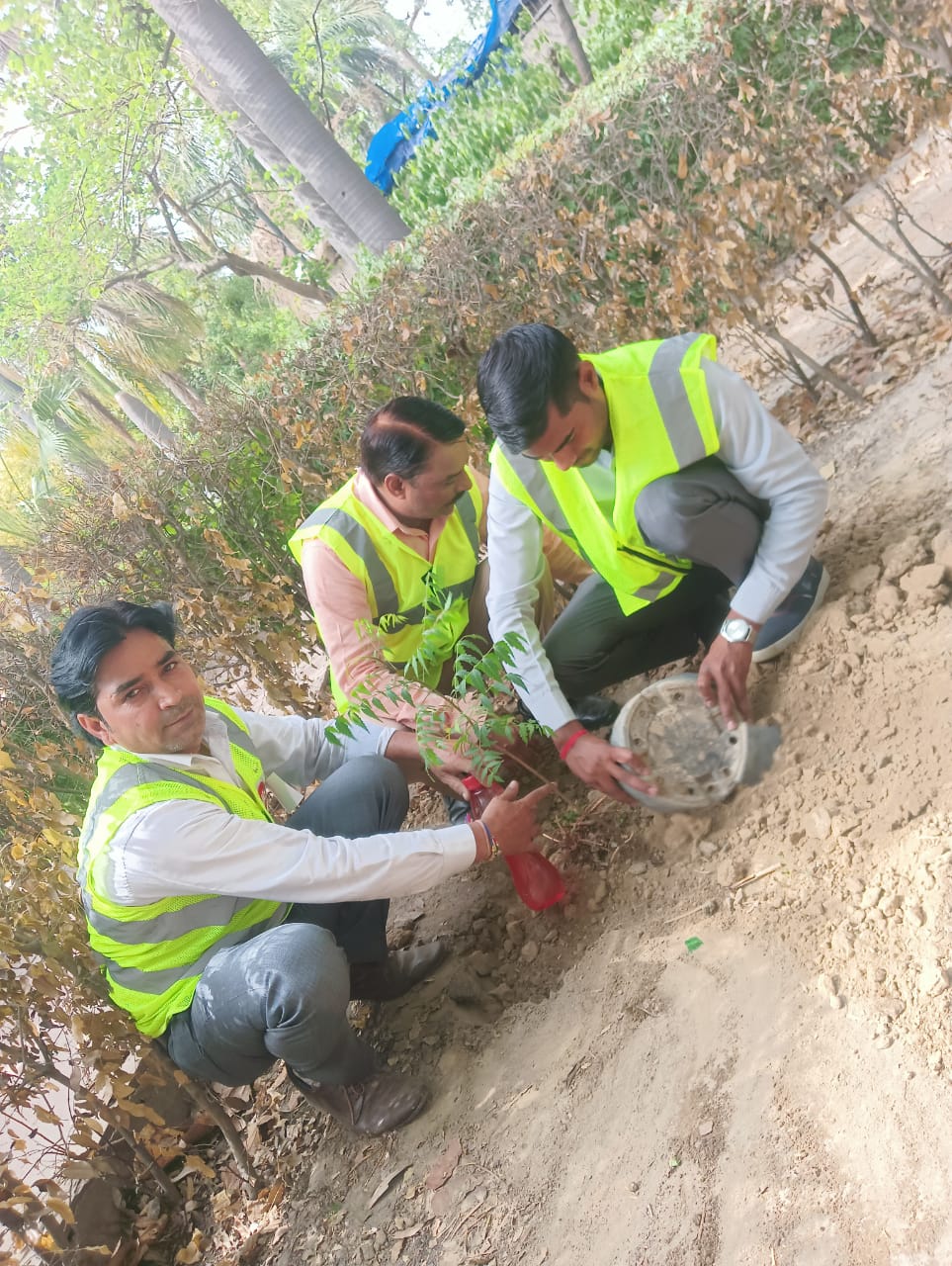 Noida News : रिलायंस की जियो टीम ने ग्रीन बेल्ट में पेड़ लगाकर मनाया विश्व पर्यावरण दिवस