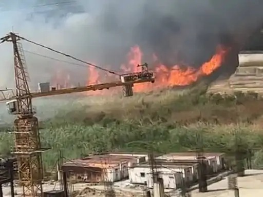 सेक्टर-94 में ग्रीन बेल्ट में लगी आग