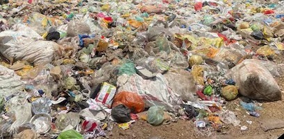 Mohan Garden : स्वच्छता अभियान की पोल खोल रहे आप पार्टी विधायक