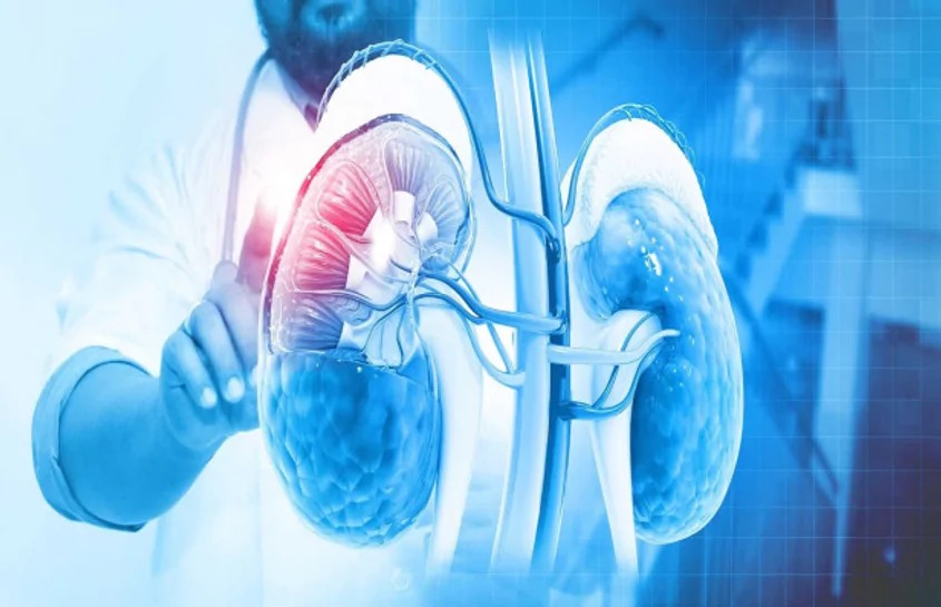 नोएडा तक पहुंची किडनी कांड की जांच