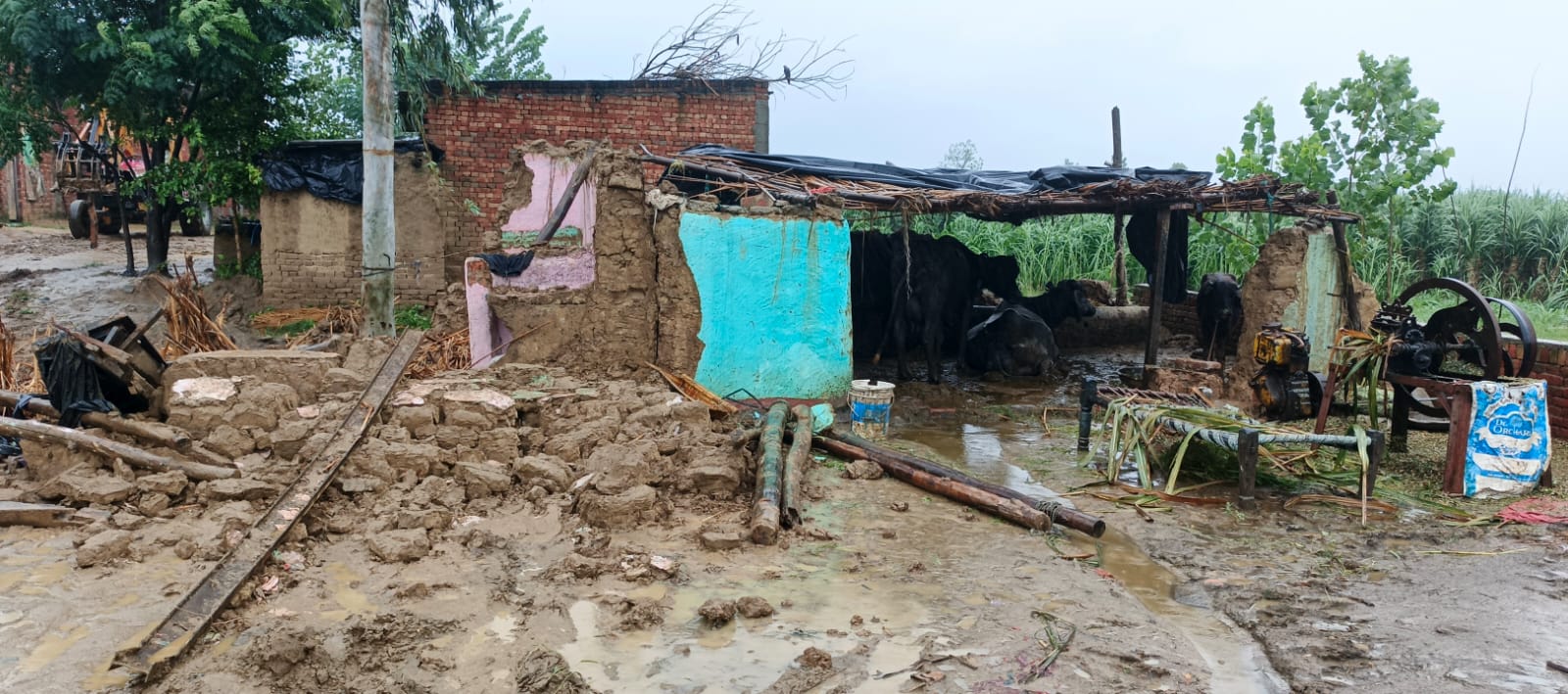 बारिश में गिरा गरीब का आशियाना, मकान गिरने से गरीब मजदूर की मौत