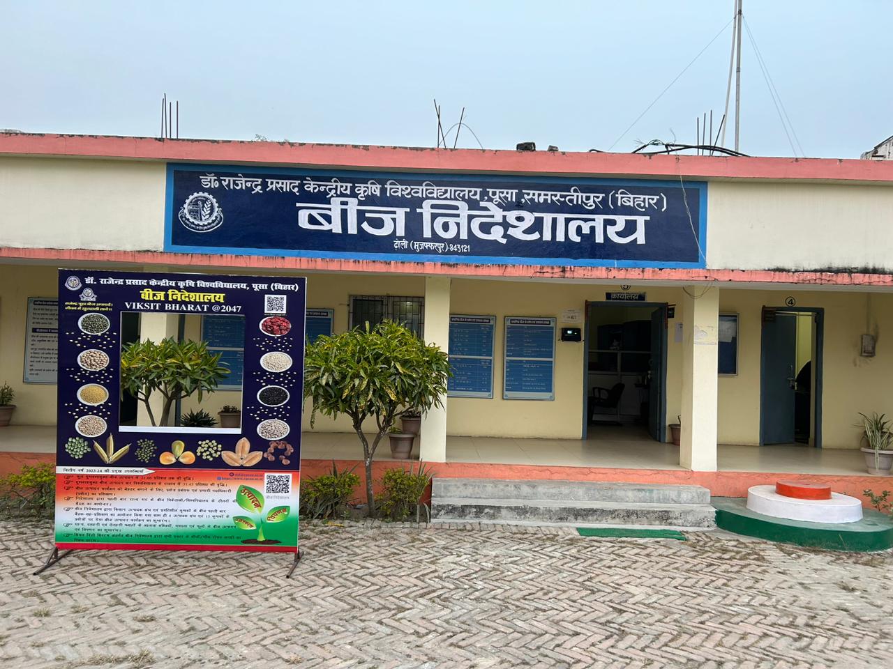 बीज निदेशालय ढोली में राई एवं सरसों का बीज बिक्री शुरू