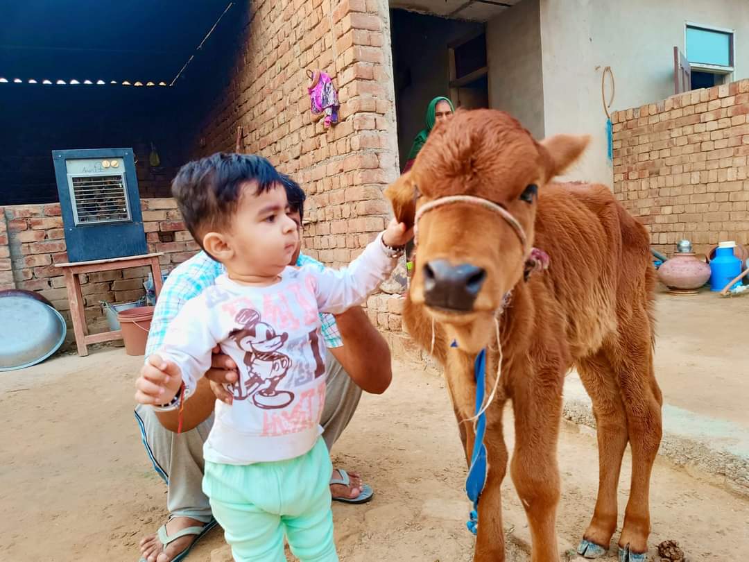 बाल दिवस विशेष :  बने संतान आदर्श हमारी