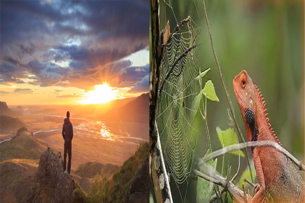 गिरगिट ज्यों, बदल रहा है आदमी