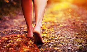 काँटों पर नित चलो